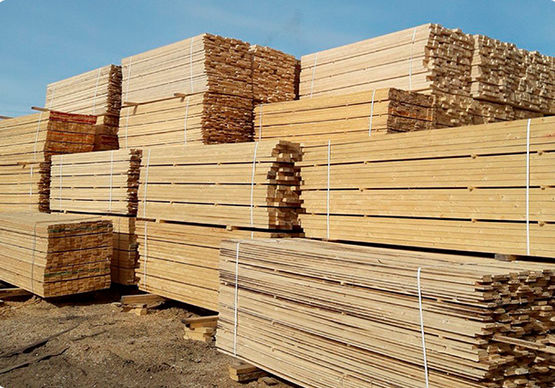 Обеззараживание и уничтожение вредителей древесины